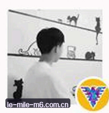 赵敏
